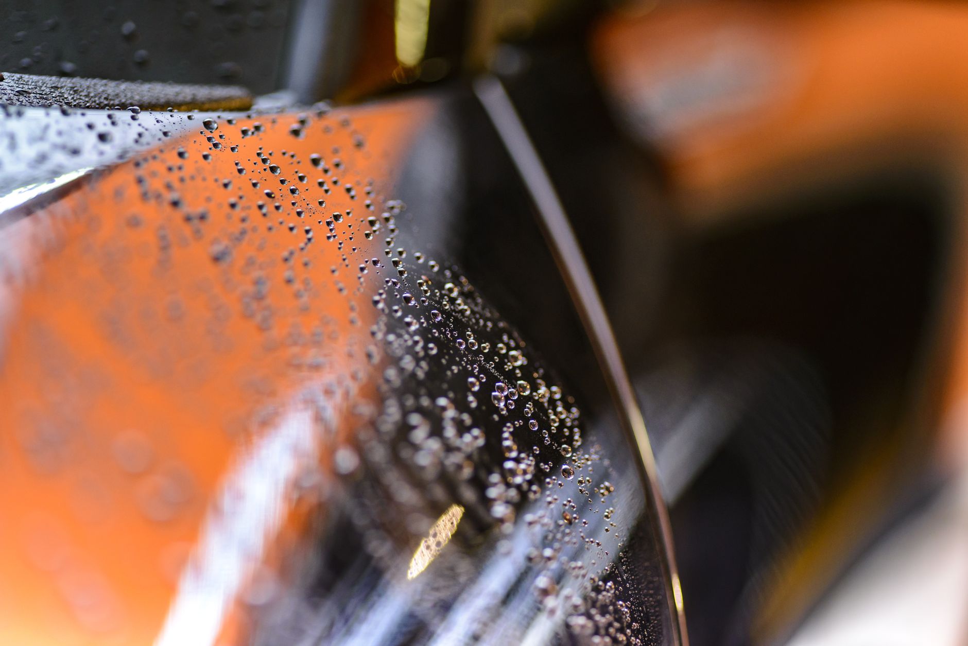 selective focus photography of dew on glass panel